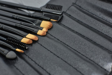 various makeup brush sizes complete with black bags