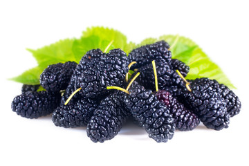 Fresh and organic fruits mulberry on a white background