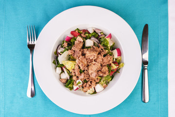  Seafood, Mediterranean cuisine. Salad from sea tuna fish with greens, cucumber, lemon and chili pepper, radish. Japanese food