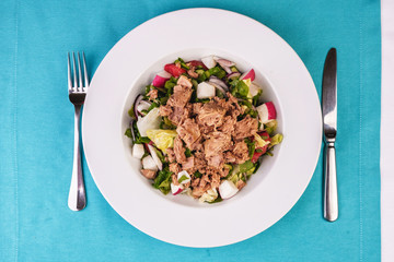  Seafood, Mediterranean cuisine. Salad from sea tuna fish with greens, cucumber, lemon and chili pepper, radish. Japanese food