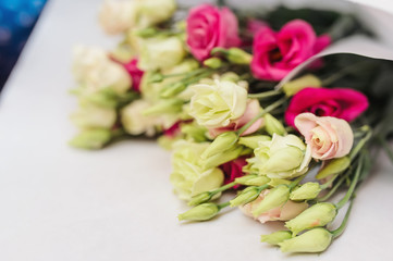 Fototapeta premium Beautiful yellow Prairie Gentian (Eustoma) flower is blooming. close up, wood background