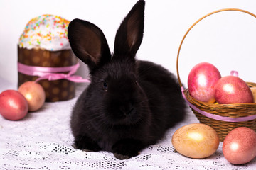 Little black rabbit in the Easter composition with eggs and Easter cakes, the concept of a spring...