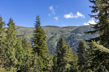 Trail for The Stinky from area of Tiha Rila, Rila mountain, Bulgaria