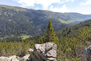 Trail for The Stinky from area of Tiha Rila, Rila mountain, Bulgaria
