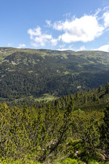 Trail for The Stinky from area of Tiha Rila, Rila mountain, Bulgaria