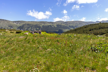 Trail for The Stinky from area of Tiha Rila, Rila mountain, Bulgaria