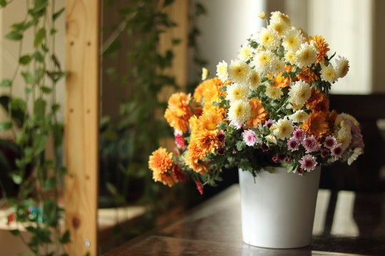vase, fower, chrysanthemum