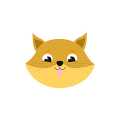 cute cat face , head pet friendly