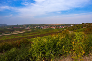 Fototapeta na wymiar Blick in die Landschaft von Rheinhessen bei Vendersheim/Deutschland