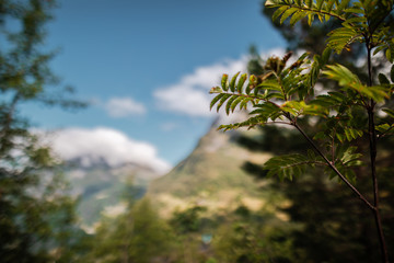 Fototapeta na wymiar mountain landscape in flydalsjuvet geiranger