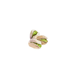 Watercolor illustration of pistachio nuts