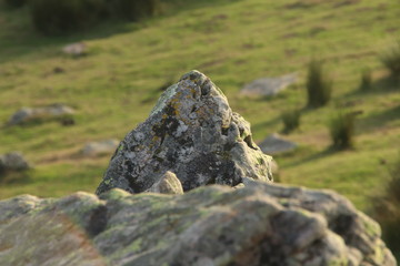 Bosque y rocas del monte Adarra