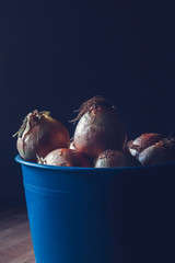 ONIONS IN CUBE ON DARK BACKGROUND. RURAL PHOTOGRAPHY