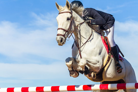 White Horse Rider Jumping Pole Closeup Abstract Action Blue Sky