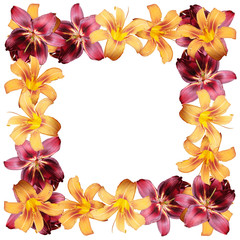 Beautiful floral pattern of orange and burgundy lilies. Isolated