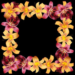 Beautiful floral pattern of orange and burgundy lilies. Isolated