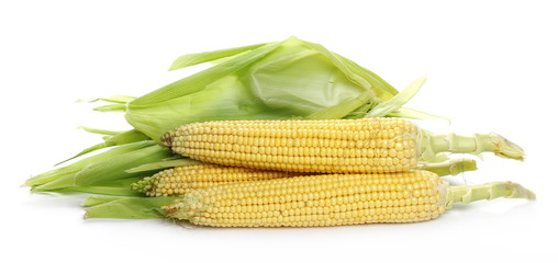 Corn ears, maize with leaves, tassel isolated on white background