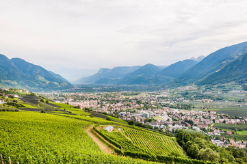 Dorf Tirol, Meran, Meranerland, Weinberg, Obstbäume, Etsch, Etschtal, Waalweg, Wanderweg,...