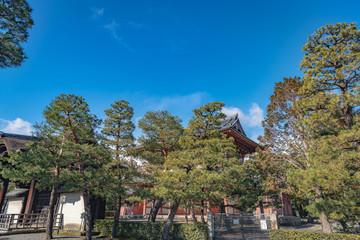 Fototapeta premium 大徳寺 境内の風景