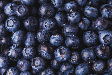 ripe blueberry berries background. healthy food