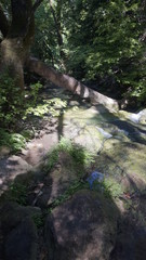 Waterfalls, ponds and forest of Turgut