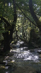 Fototapeta premium Waterfalls, ponds and forest of Turgut