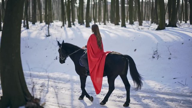 Real time video of long haired charming female wearing red cloak riding black stallion past camera and moving away on sunny winter day in park