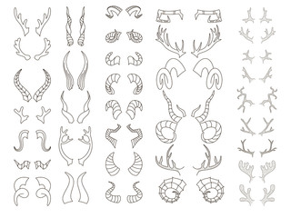 Horns Big set