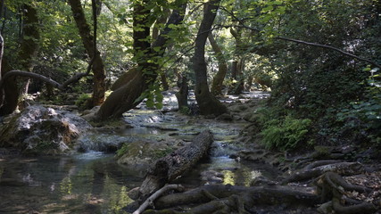 Fototapeta na wymiar Waterfalls, ponds and forest of Turgut