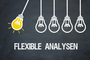 Flexible Analysen