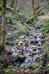 waterfall river spring snake sochi