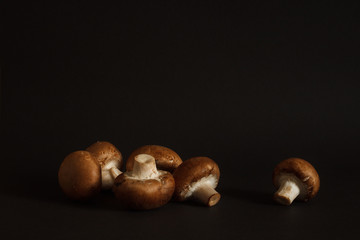Mushrooms Royal Brown champignon  on a dark background. 