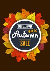 Autumn Sale poster, banner or label template with autumn leaves. Vector illustration