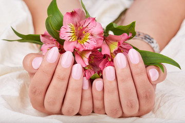 Obraz na płótnie Canvas Hands with short manicured nails colored with pink nail polish and lily flowers