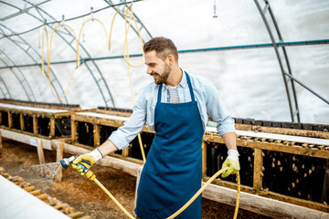 Handsome worker washing shelves with water gun, taking care of the snails in the hothouse of the farm. Concept of farming snails for eating