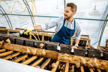 Handsome worker washing shelves with water gun, taking care of the snails in the hothouse of the...