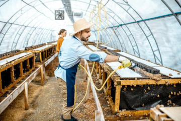 Man and woman working in the hothouse on a farm for growing snails, washing shelves with water gun. Concept of farming snails for eating