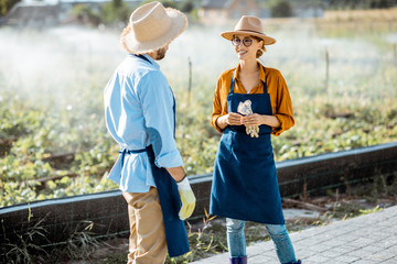 Two young beautifully dressed farmers talking on the farmland with automatic watering during the sunset