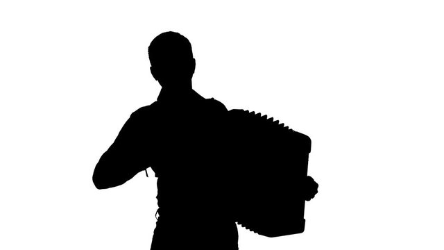 accordionist plays the accordion masterly in the studio, black silhouette on a white background,isolated,close-up
