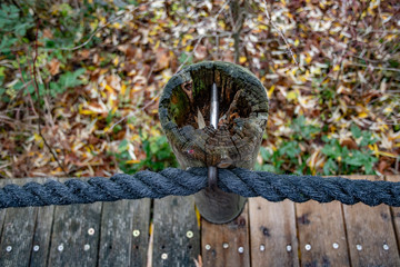 Rotten wood stump with black rough twined ropes on autumn leaves background. Rope railing of old wooden flooring in park of Berlin Germany. Autumn backdrop. Fall season textures.