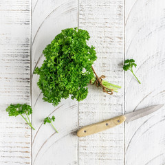 Bunch of curly leaf parsley tied with jute rope, healthy vegetarian food. White wooden rustic background
