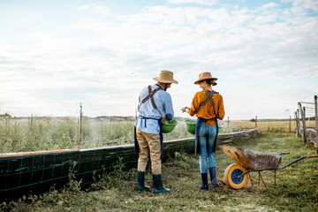 Two well-dressed farmers or agronomists walking on the farmland for growing snails, rear wide angle view. Concept of agribusiness and farming