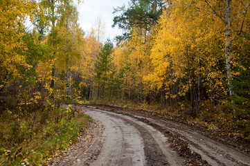Fototapeta na wymiar Lake Baikal Russia, dirt road to chivyrkuysky bay with autumn foliage
