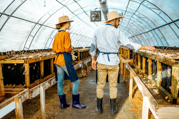 Two farmers examining snails growing process in the hothouse of the farm, rear view. Concept of farming snails for eating © rh2010