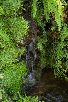 greenhouse waterfall
