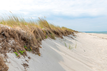 German Baltic Sea coast with sand dunes, grass, water and sky
