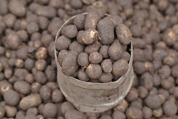 Puff Ball Mushrooms in measuring cup