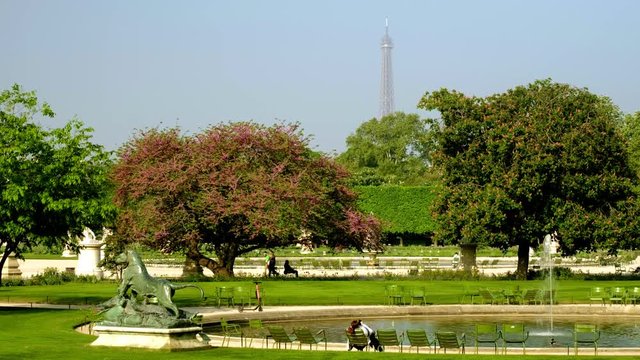 Tuileries Garden in Paris during springtime.