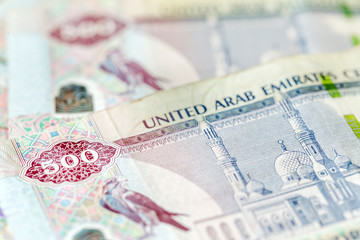 UAE dirhams, closeup view
