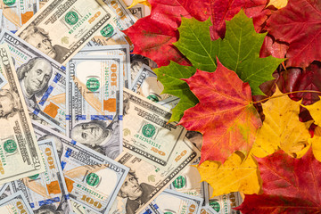 Autumn prices fall concept. Background from dollars and colored maple leaves